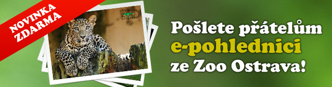 Pošlete e-pohlednici přátelům