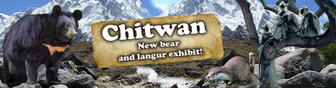 zoo ostrava - New bear and langur exhibit!