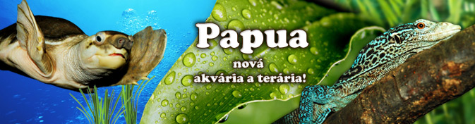 Nová expozice Papua v Zoo Ostrava