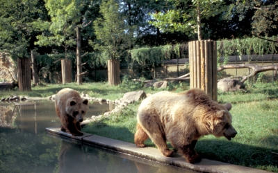 Zoo Augsburg