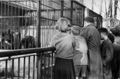 slon Pepík s O.Vítkovou v kunčické zoo