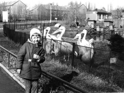 Na místě výběhu s pelikány z r. 1974 dnes najdeme plameňáky kubánské