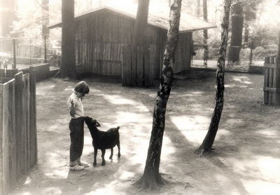 Dětská kontaktní zoo (r. 1982)