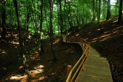 Botanický park – Cesta stínu (r. 2007)
