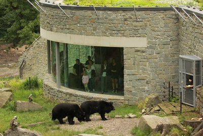 Čitván – velká přírodní expozice pro medvědy a hulmany (r. 2010)
