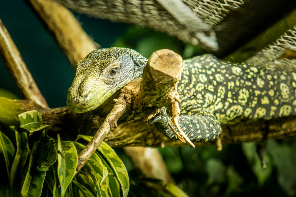 Návštěva zázemí zoo