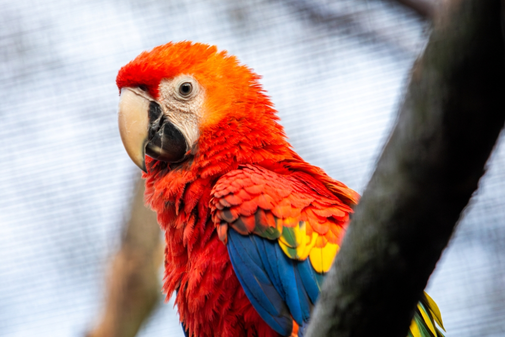 Sleva v zooshopu 10%