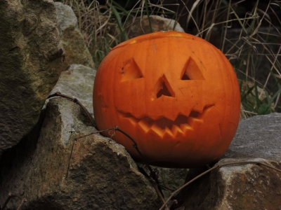 Halloween v zoo