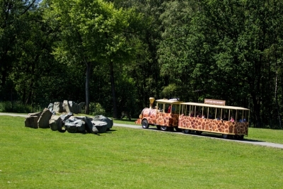 Safari expres