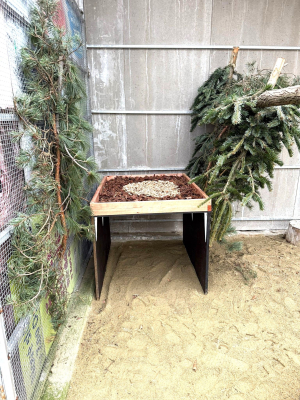 osłony gniazdowe dla sępów