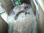 ODPOLEDNÍ SIESTA