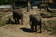 všichni spolu 9.5.2011