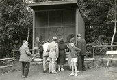 letnia klatka dla mandryla, 1960 r.