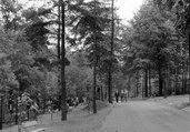 główna trasa zwiedzania, 1960 r.